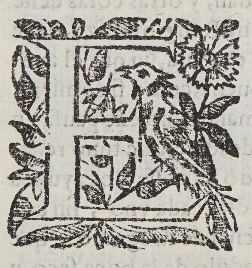 An illustration from Resolucion y apologia della acerca de vn graue y raro caso que en materia de espiritu se consultó, 1649, leaf 11