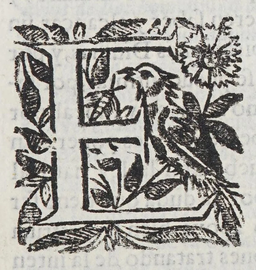 An illustration from Resolucion y apologia della acerca de vn graue y raro caso que en materia de espiritu se consultó, 1649, leaf 81