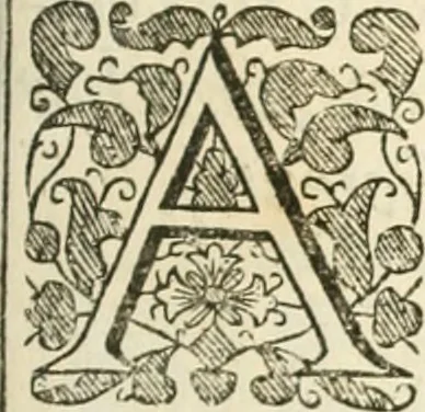 An illustration from Resolves: divine, moral, political. The 9th impression. With new and several other additions both in prose and verse not extant in the former impressions, 1670, leaf 430