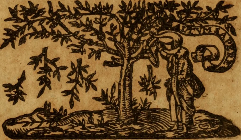 An illustration from Resolves : a duple century, 1636, leaf 324