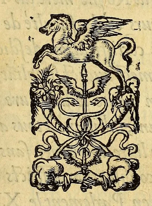An illustration from Responce par le chevalier de Villegaignon aux Remonstrances faictes à la royne mere du roy, 1561, leaf 7