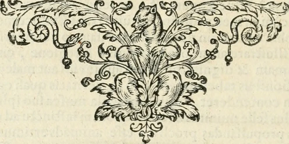 An illustration from Responsvm ad Hoplocrisma-Spongvm M. Fosteri presbiteri : ab ipso ad vngventi armarii validitatem delendam ordinatvm : hoc est, Spongiae M. Fosteri presbyteri expressio sev elisio : in qua virtuosa spongiae ipsius potestas in detergendo vnguentum armarium, ex primitur, eliditur ac funditus aboletur : ac tandem immodestia & erga fratres suos incivilitas, aceto veritatis acerrimo corrigitur & penitus extinguitur, 1638, leaf 5