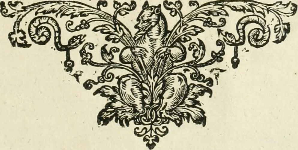 An illustration from Responsvm ad Hoplocrisma-Spongvm M. Fosteri presbiteri : ab ipso ad vngventi armarii validitatem delendam ordinatvm : hoc est, Spongiae M. Fosteri presbyteri expressio sev elisio : in qua virtuosa spongiae ipsius potestas in detergendo vnguentum armarium, ex primitur, eliditur ac funditus aboletur : ac tandem immodestia & erga fratres suos incivilitas, aceto veritatis acerrimo corrigitur & penitus extinguitur, 1638, leaf 60