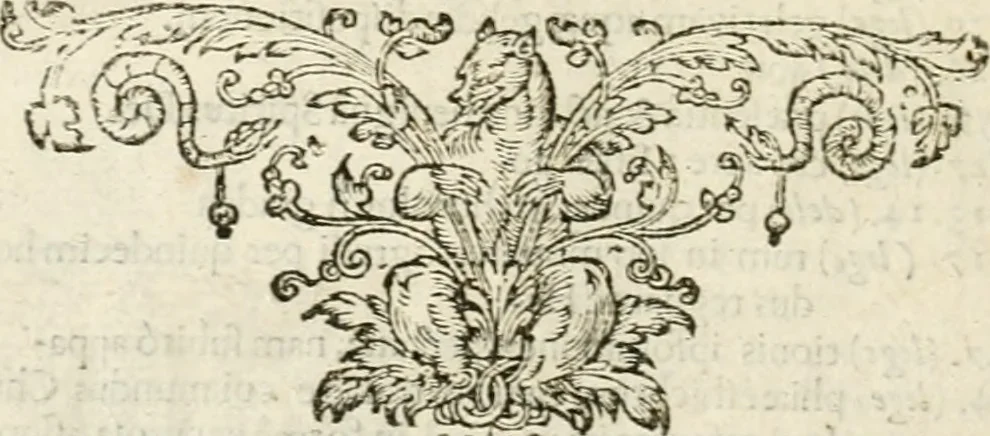 An illustration from Responsvm ad Hoplocrisma-Spongvm M. Fosteri presbiteri : ab ipso ad vngventi armarii validitatem delendam ordinatvm : hoc est, Spongiae M. Fosteri presbyteri expressio sev elisio : in qua virtuosa spongiae ipsius potestas in detergendo vnguentum armarium, ex primitur, eliditur ac funditus aboletur : ac tandem immodestia & erga fratres suos incivilitas, aceto veritatis acerrimo corrigitur & penitus extinguitur, 1638, leaf 63
