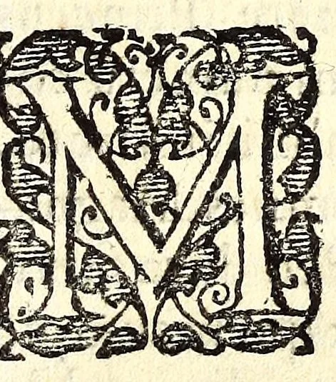 An illustration from Respublica Moscoviae et urbes : accedunt quaedam latinè nunquam antehac edita, 1630, leaf 281