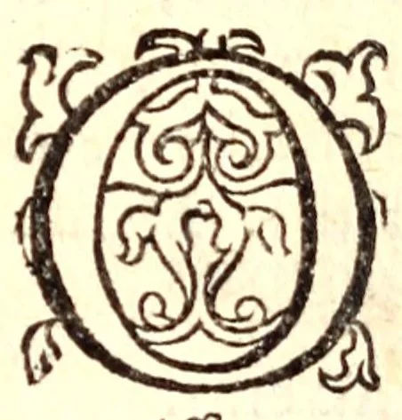 An illustration from Respublica Moscoviae et urbes : accedunt quaedam latinè nunquam antehac edita, 1630, leaf 562