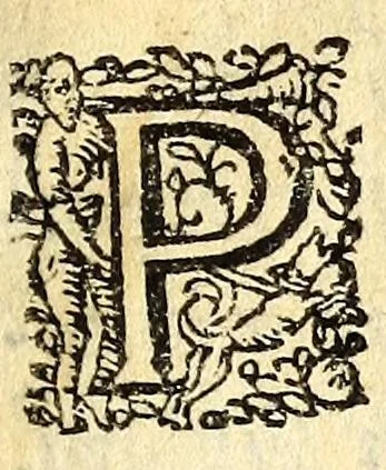 An illustration from Respublica Moscoviae et urbes : accedunt quaedam latinè nunquam antehac edita, 1630, leaf 7