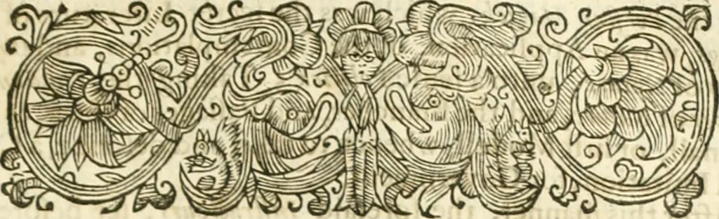 An illustration from Resuscitatio; or, Bringing into publick light severall pieces, of the works, civil, historical, philosophical, & theological, hitherto sleeping, of the Right Honourable Francis Bacon. According to the best corrected coppies. Together, with his Lordships life, 1657, leaf 232