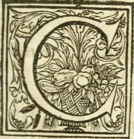 An illustration from Resuscitatio; or, Bringing into publick light severall pieces, of the works, civil, historical, philosophical, & theological, hitherto sleeping, of the Right Honourable Francis Bacon. According to the best corrected coppies. Together, with his Lordships life, 1657, leaf 260