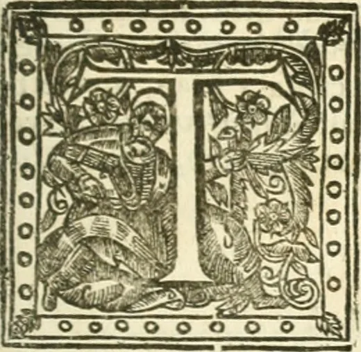 An illustration from Resuscitatio; or, Bringing into publick light severall pieces, of the works, civil, historical, philosophical, & theological, hitherto sleeping, of the Right Honourable Francis Bacon. According to the best corrected coppies. Together, with his Lordships life, 1657, leaf 316