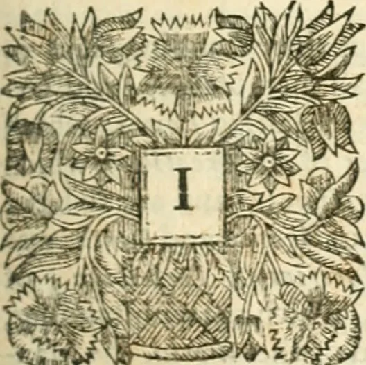 An illustration from Resvscitatio; or, Bringing into pvblick light several pieces of the works civil, historical, philosophical, and theological, hitherto sleeping of the Right Honourable Francis Bacon ... In 2 parts, 1671, leaf 378