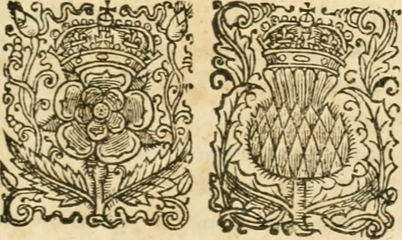 An illustration from Resvscitatio; or, Bringing into pvblick light several pieces of the works civil, historical, philosophical, and theological, hitherto sleeping of the Right Honourable Francis Bacon ... In 2 parts, 1671, leaf 396