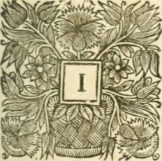 An illustration from Resvscitatio; or, Bringing into pvblick light several pieces of the works civil, historical, philosophical, and theological, hitherto sleeping of the Right Honourable Francis Bacon ... In 2 parts, 1671, leaf 560