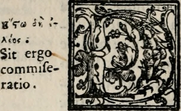 An illustration from Retorica ... amplissimamente tradotta, & illustrata con dotte & vtilissime digressioni, 1597, leaf 145