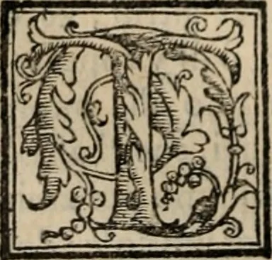 An illustration from Retorica ... amplissimamente tradotta, & illustrata con dotte & vtilissime digressioni, 1597, leaf 191
