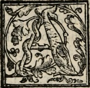 An illustration from Retorica ... amplissimamente tradotta, & illustrata con dotte & vtilissime digressioni, 1597, leaf 199