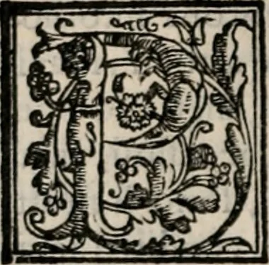An illustration from Retorica ... amplissimamente tradotta, & illustrata con dotte & vtilissime digressioni, 1597, leaf 209