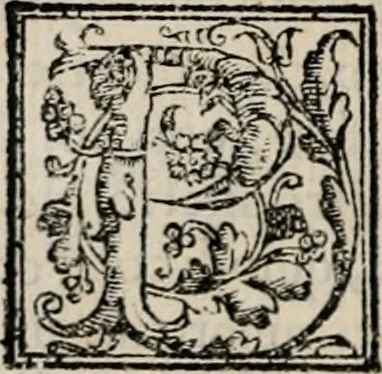 An illustration from Retorica ... amplissimamente tradotta, & illustrata con dotte & vtilissime digressioni, 1597, leaf 21