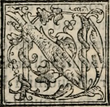An illustration from Retorica ... amplissimamente tradotta, & illustrata con dotte & vtilissime digressioni, 1597, leaf 211
