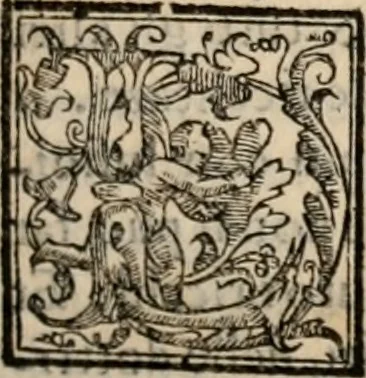An illustration from Retorica ... amplissimamente tradotta, & illustrata con dotte & vtilissime digressioni, 1597, leaf 220