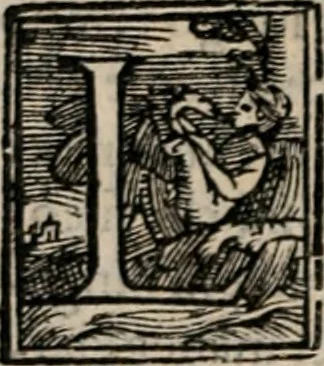 An illustration from Retorica ... amplissimamente tradotta, & illustrata con dotte & vtilissime digressioni, 1597, leaf 227
