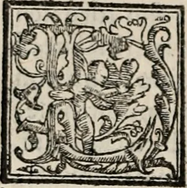 An illustration from Retorica ... amplissimamente tradotta, & illustrata con dotte & vtilissime digressioni, 1597, leaf 449