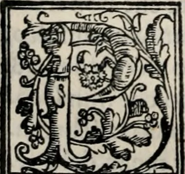 An illustration from Retorica ... amplissimamente tradotta, & illustrata con dotte & vtilissime digressioni, 1597, leaf 513