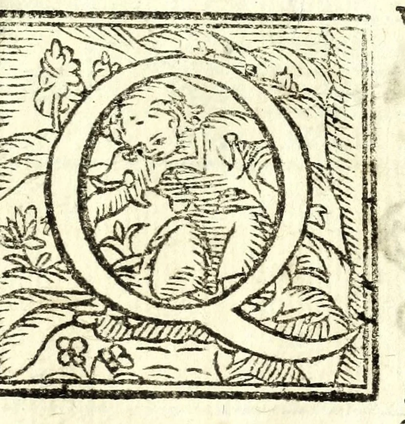 An illustration from Retta linea gnomonica, 1675, leaf 103