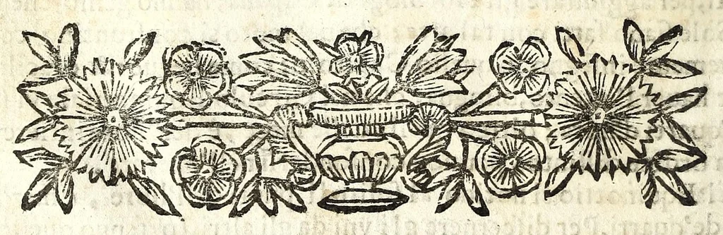 An illustration from Retta linea gnomonica, 1675, leaf 62