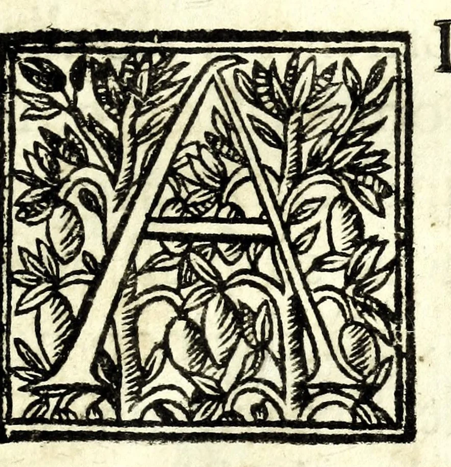 An illustration from Retta linea gnomonica, 1675, leaf 7