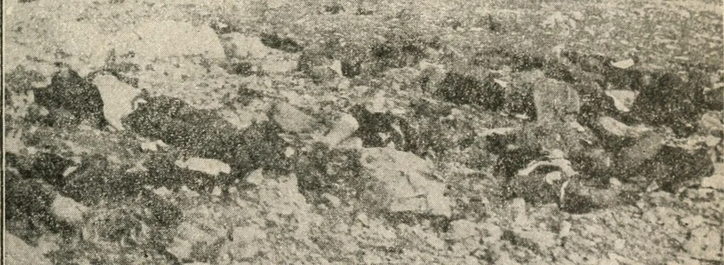 An illustration from The return of Jesus ; an earnest review of the scriptural evidences which establish the great Christian doctrine of the second coming of Christ, together with a close study of the prophecies relating to this glorious event and the fulfillment of these prophecies in the present generation, 1917, leaf 126