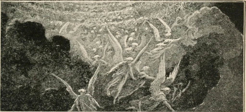 An illustration from The return of Jesus ; an earnest review of the scriptural evidences which establish the great Christian doctrine of the second coming of Christ, together with a close study of the prophecies relating to this glorious event and the fulfillment of these prophecies in the present generation, 1917, leaf 22