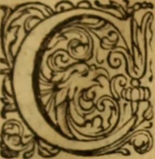 An illustration from Rerum Scoticarum historia, 1643, leaf 10