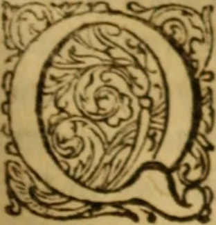 An illustration from Rerum Scoticarum historia, 1643, leaf 162