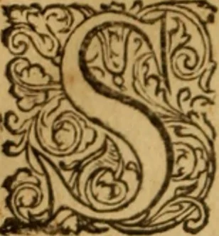 An illustration from Rerum Scoticarum historia, 1643, leaf 17
