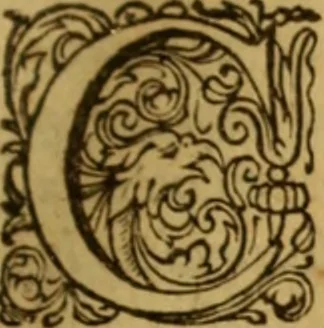 An illustration from Rerum Scoticarum historia, 1643, leaf 18