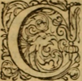 An illustration from Rerum Scoticarum historia, 1643, leaf 211