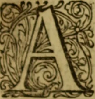 An illustration from Rerum Scoticarum historia, 1643, leaf 322
