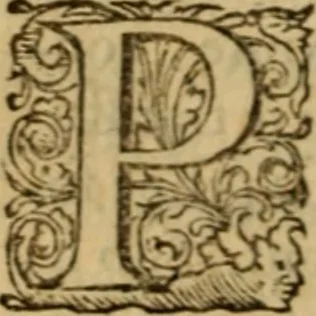 An illustration from Rerum Scoticarum historia, 1643, leaf 677
