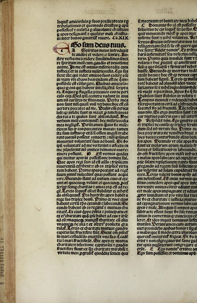 An illustration from Revelationes sancte Birgitte, 1500, leaf 116