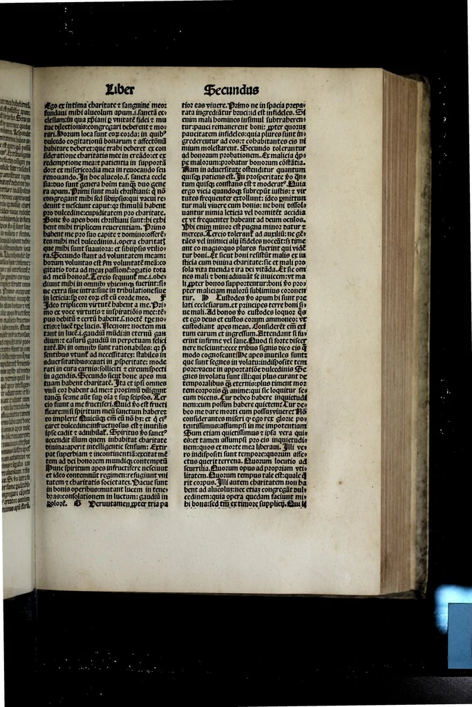 An illustration from Revelationes sancte Birgitte, 1500, leaf 117