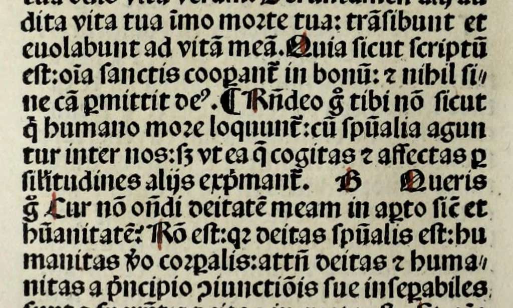 An illustration from Revelationes sancte Birgitte, 1500, leaf 304