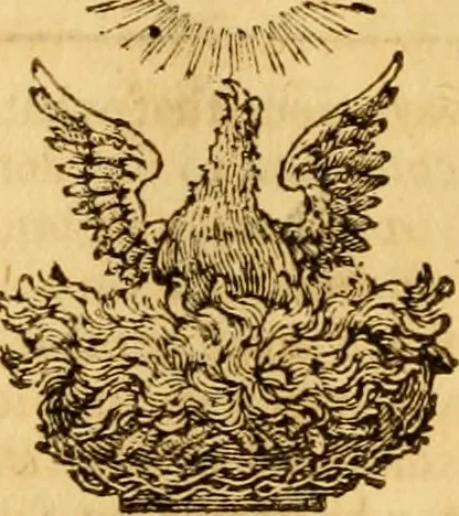 An illustration from Revelation examined with candour, or, A fair enquiry into the sense and use of the several revelations expresly declared, or sufficiently implied, to be given to mankind from the creation, as they are found in the Bible, 1745, leaf 333