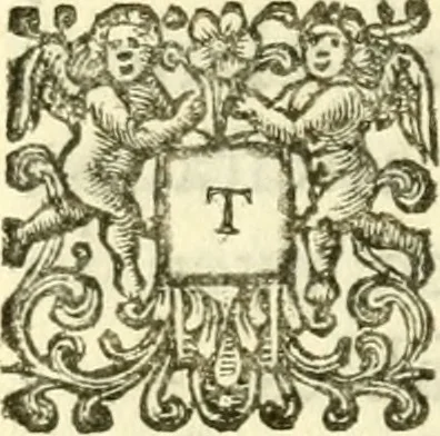 An illustration from Revelation examined with candour : or, A fair enquiry into the sense and use of the several revelations expressly declared, or sufficiently implied, to be given to mankind from the creation, as they are found in the Bible, 1733, leaf 307
