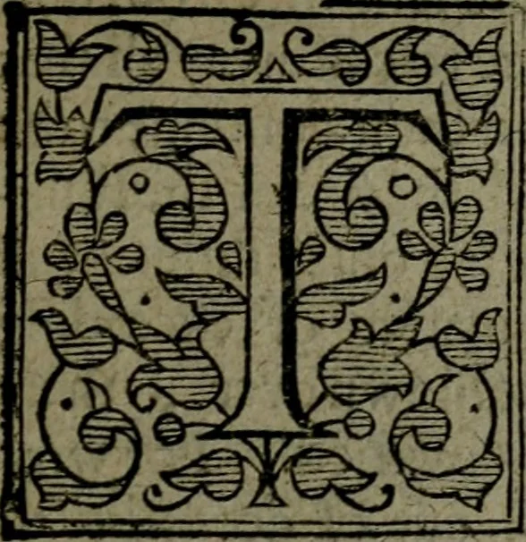 An illustration from The Revelation of Saint Iohn, illustrated with analysis and scholions. Wherein the sence is opened by the Scripture: and the events of things foretold, shewed by histories. Together with a most comfortable exposition of the last and most difficult part of the prophecy of Daniel. Wherein the restoring of the Jewes, and their calling to the faith of Christ, after the utter overthrow of their three last enemies, is set forth in lively colours, 1664, leaf 10