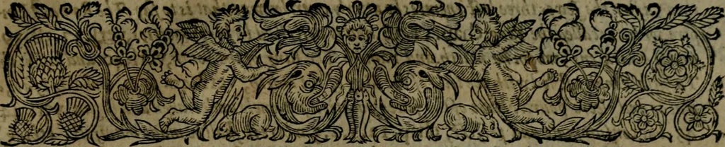 An illustration from The Revelation of Saint Iohn, illustrated with analysis and scholions. Wherein the sence is opened by the Scripture: and the events of things foretold, shewed by histories. Together with a most comfortable exposition of the last and most difficult part of the prophecy of Daniel. Wherein the restoring of the Jewes, and their calling to the faith of Christ, after the utter overthrow of their three last enemies, is set forth in lively colours, 1664, leaf 314