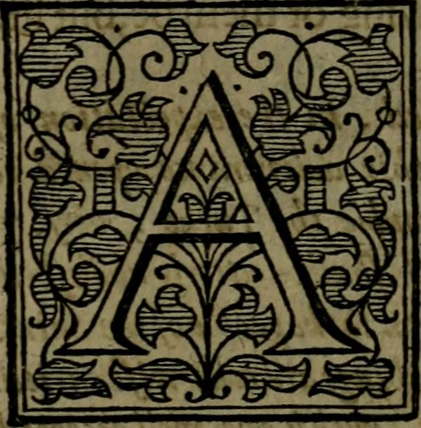 An illustration from The Revelation of Saint Iohn, illustrated with analysis and scholions. Wherein the sence is opened by the Scripture: and the events of things foretold, shewed by histories. Together with a most comfortable exposition of the last and most difficult part of the prophecy of Daniel. Wherein the restoring of the Jewes, and their calling to the faith of Christ, after the utter overthrow of their three last enemies, is set forth in lively colours, 1664, leaf 314