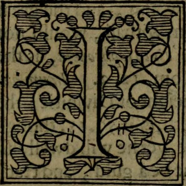 An illustration from The Revelation of Saint Iohn, illustrated with analysis and scholions. Wherein the sence is opened by the Scripture: and the events of things foretold, shewed by histories. Together with a most comfortable exposition of the last and most difficult part of the prophecy of Daniel. Wherein the restoring of the Jewes, and their calling to the faith of Christ, after the utter overthrow of their three last enemies, is set forth in lively colours, 1664, leaf 316