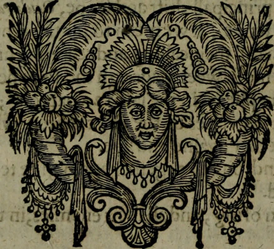 An illustration from The Revelation of Saint Iohn, illustrated with analysis and scholions. Wherein the sence is opened by the Scripture: and the events of things foretold, shewed by histories. Together with a most comfortable exposition of the last and most difficult part of the prophecy of Daniel. Wherein the restoring of the Jewes, and their calling to the faith of Christ, after the utter overthrow of their three last enemies, is set forth in lively colours, 1664, leaf 319