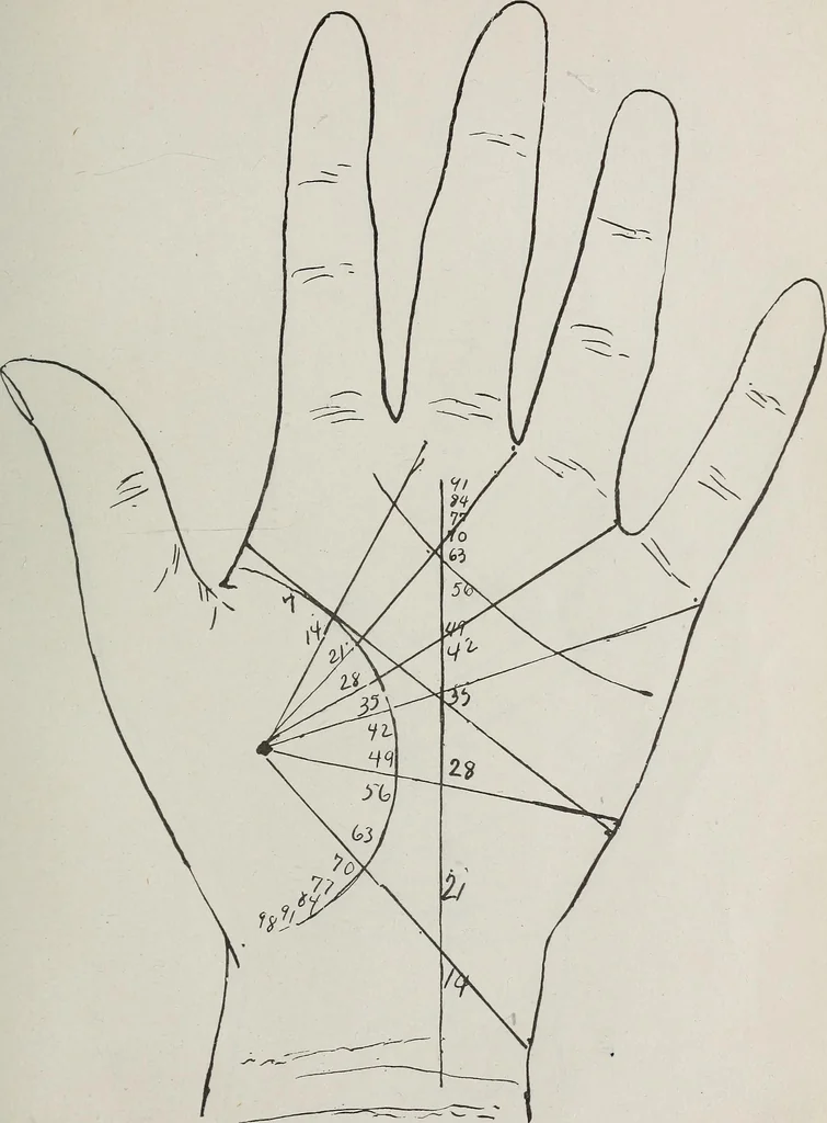 An illustration from Revelations of the hand. A scientific study of the shape and markings of the hand, as an index to character, disease, and tendencies, with explanatory illustrations, 1900, leaf 158